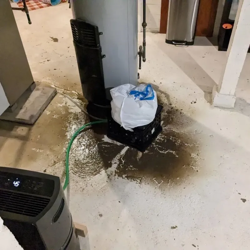Sewage Backup Cleanup Service in Antlers, OK